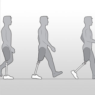 Natural Gait Cycle